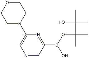 6-MORPHOLINOPYRAZINE-2-BORONIC ACID PINACOL ESTER Struktur