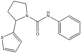 N1-phenyl-2-(2-thienyl)pyrrolidine-1-carboxamide Struktur