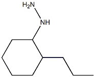 1-(2-propylcyclohexyl)hydrazine Struktur