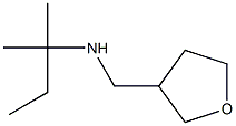 (2-methylbutan-2-yl)(oxolan-3-ylmethyl)amine Struktur