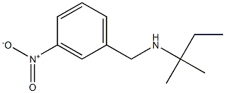 (2-methylbutan-2-yl)[(3-nitrophenyl)methyl]amine Struktur