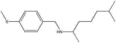 (6-methylheptan-2-yl)({[4-(methylsulfanyl)phenyl]methyl})amine Struktur