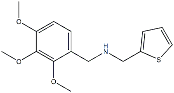 (thiophen-2-ylmethyl)[(2,3,4-trimethoxyphenyl)methyl]amine Struktur