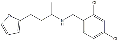 [(2,4-dichlorophenyl)methyl][4-(furan-2-yl)butan-2-yl]amine Struktur