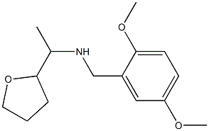 [(2,5-dimethoxyphenyl)methyl][1-(oxolan-2-yl)ethyl]amine Struktur