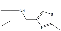 [(2-methyl-1,3-thiazol-4-yl)methyl](2-methylbutan-2-yl)amine Struktur