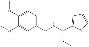 [(3,4-dimethoxyphenyl)methyl][1-(thiophen-2-yl)propyl]amine Struktur