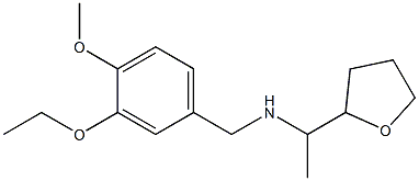 [(3-ethoxy-4-methoxyphenyl)methyl][1-(oxolan-2-yl)ethyl]amine Struktur