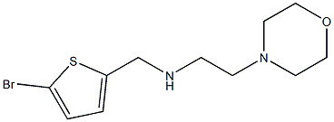 [(5-bromothiophen-2-yl)methyl][2-(morpholin-4-yl)ethyl]amine Struktur