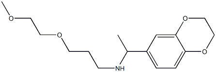 [1-(2,3-dihydro-1,4-benzodioxin-6-yl)ethyl][3-(2-methoxyethoxy)propyl]amine Struktur