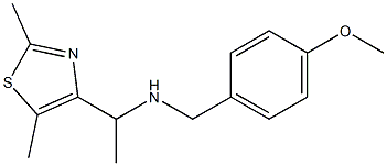 [1-(2,5-dimethyl-1,3-thiazol-4-yl)ethyl][(4-methoxyphenyl)methyl]amine Struktur