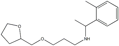 [1-(2-methylphenyl)ethyl][3-(oxolan-2-ylmethoxy)propyl]amine Struktur