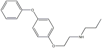 [2-(4-phenoxyphenoxy)ethyl](propyl)amine Struktur