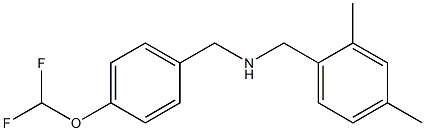 {[4-(difluoromethoxy)phenyl]methyl}[(2,4-dimethylphenyl)methyl]amine Struktur