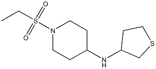 1-(ethanesulfonyl)-N-(thiolan-3-yl)piperidin-4-amine Struktur