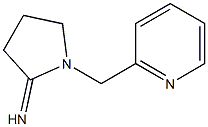 1-(pyridin-2-ylmethyl)pyrrolidin-2-imine Struktur