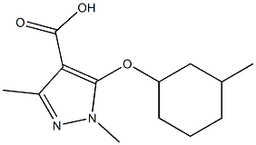 1,3-dimethyl-5-[(3-methylcyclohexyl)oxy]-1H-pyrazole-4-carboxylic acid Struktur