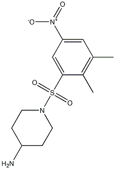 1-[(2,3-dimethyl-5-nitrobenzene)sulfonyl]piperidin-4-amine Struktur