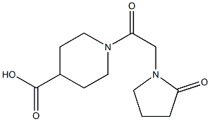 1-[2-(2-oxopyrrolidin-1-yl)acetyl]piperidine-4-carboxylic acid Struktur