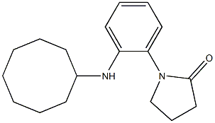 1-[2-(cyclooctylamino)phenyl]pyrrolidin-2-one Struktur