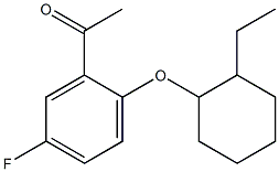 1-{2-[(2-ethylcyclohexyl)oxy]-5-fluorophenyl}ethan-1-one Struktur