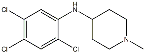 1-methyl-N-(2,4,5-trichlorophenyl)piperidin-4-amine Struktur