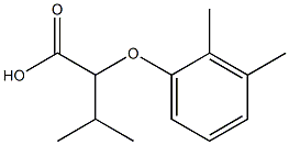 2-(2,3-dimethylphenoxy)-3-methylbutanoic acid Struktur