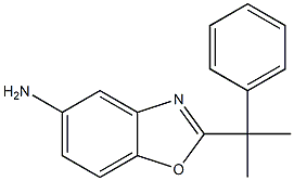 2-(2-phenylpropan-2-yl)-1,3-benzoxazol-5-amine Struktur