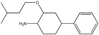 2-(3-methylbutoxy)-4-phenylcyclohexan-1-amine Struktur