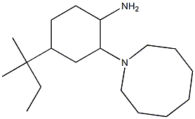 2-(azocan-1-yl)-4-(2-methylbutan-2-yl)cyclohexan-1-amine Struktur