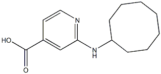 2-(cyclooctylamino)pyridine-4-carboxylic acid Struktur