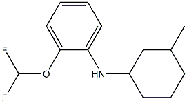 2-(difluoromethoxy)-N-(3-methylcyclohexyl)aniline Struktur