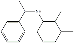 2,3-dimethyl-N-(1-phenylethyl)cyclohexan-1-amine Struktur