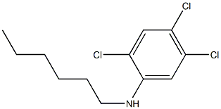 2,4,5-trichloro-N-hexylaniline Struktur