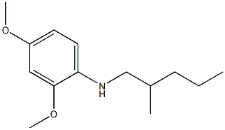 2,4-dimethoxy-N-(2-methylpentyl)aniline Struktur