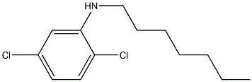 2,5-dichloro-N-heptylaniline Struktur