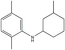 2,5-dimethyl-N-(3-methylcyclohexyl)aniline Struktur