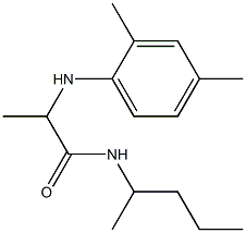 2-[(2,4-dimethylphenyl)amino]-N-(pentan-2-yl)propanamide Struktur