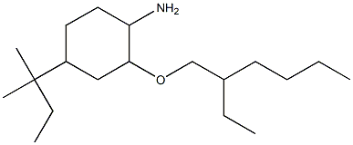 2-[(2-ethylhexyl)oxy]-4-(2-methylbutan-2-yl)cyclohexan-1-amine Struktur