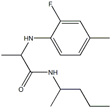 2-[(2-fluoro-4-methylphenyl)amino]-N-(pentan-2-yl)propanamide Struktur