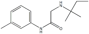 2-[(2-methylbutan-2-yl)amino]-N-(3-methylphenyl)acetamide Struktur