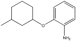 2-[(3-methylcyclohexyl)oxy]aniline Struktur