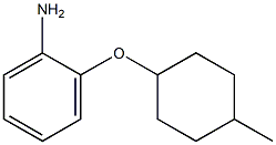 2-[(4-methylcyclohexyl)oxy]aniline Struktur