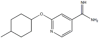 2-[(4-methylcyclohexyl)oxy]pyridine-4-carboximidamide Struktur