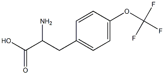 2-amino-3-[4-(trifluoromethoxy)phenyl]propanoic acid Struktur