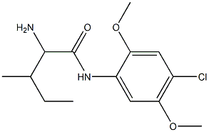 2-amino-N-(4-chloro-2,5-dimethoxyphenyl)-3-methylpentanamide Struktur