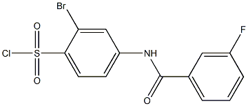 2-bromo-4-[(3-fluorobenzene)amido]benzene-1-sulfonyl chloride Struktur