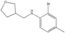 2-bromo-4-methyl-N-(oxolan-3-ylmethyl)aniline Struktur