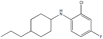 2-chloro-4-fluoro-N-(4-propylcyclohexyl)aniline Struktur
