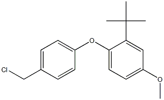 2-tert-butyl-1-[4-(chloromethyl)phenoxy]-4-methoxybenzene Struktur